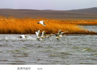鄂溫克族旗天氣預(yù)報(bào)10天查詢