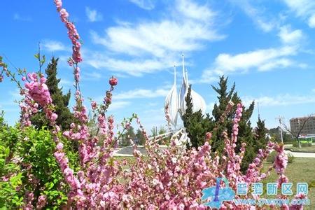 普蘭店天氣預報10天查詢