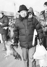 雙塔天氣預(yù)報10天查詢