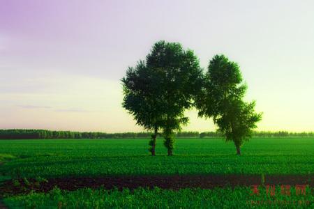 杜爾伯特天氣預(yù)報10天查詢