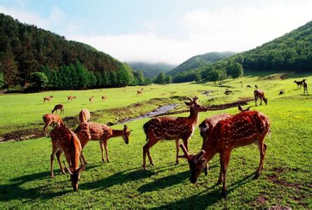 金山屯天氣預(yù)報(bào)10天查詢