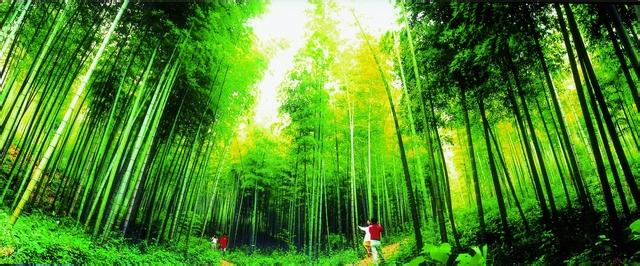 花山天氣預(yù)報10天查詢