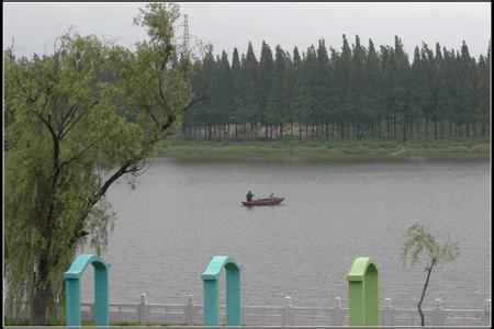 利辛天氣預報10天查詢