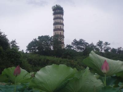 宜黃天氣預(yù)報(bào)10天查詢