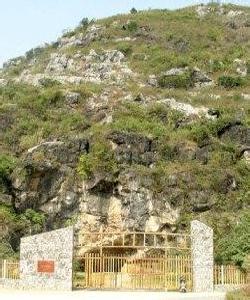 萬年天氣預報10天查詢