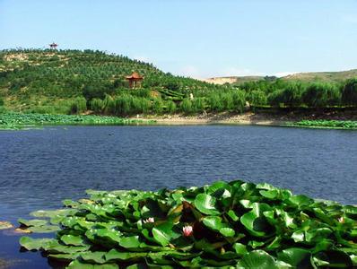 李滄天氣預(yù)報10天查詢