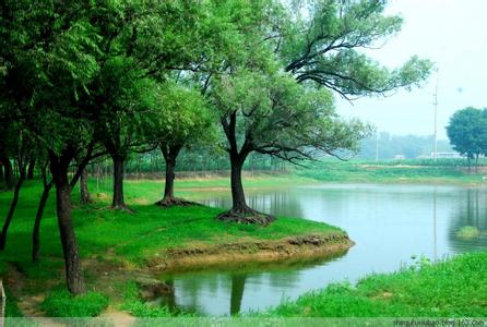 茌平天氣預(yù)報(bào)10天查詢