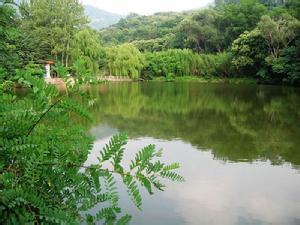 魯山天氣預(yù)報(bào)10天查詢