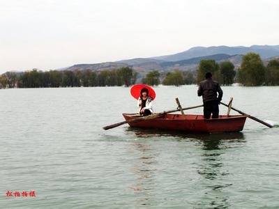 淅川天氣預(yù)報(bào)10天查詢