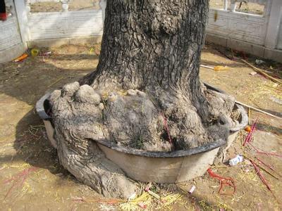 民權(quán)天氣預(yù)報(bào)10天查詢