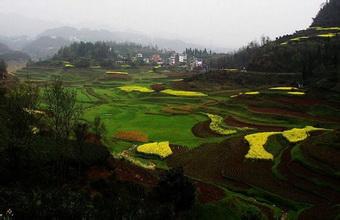 點(diǎn)軍天氣預(yù)報(bào)10天查詢(xún)