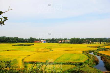 安陸天氣預(yù)報(bào)10天查詢