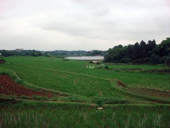湘潭縣天氣預(yù)報(bào)10天查詢