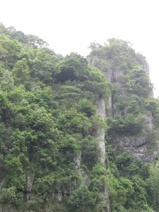 會同天氣預(yù)報10天查詢