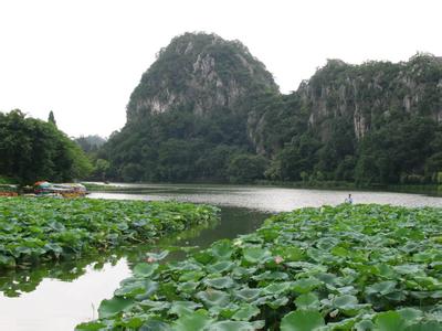 端州天氣預(yù)報(bào)10天查詢