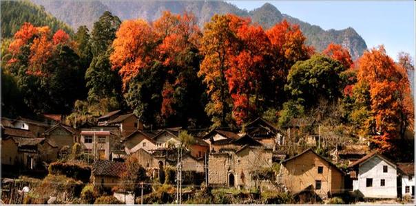 龍泉驛天氣預(yù)報10天查詢