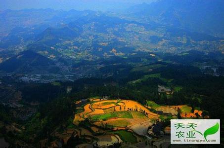 桐梓天氣預(yù)報(bào)10天查詢