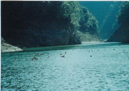 石阡天氣預(yù)報(bào)10天查詢