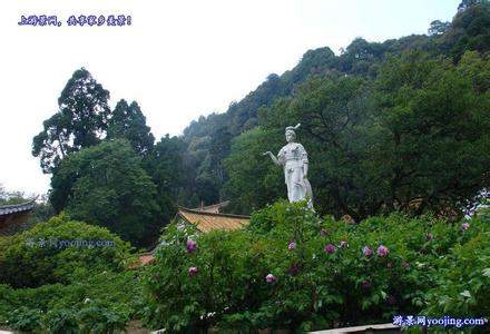 武定天氣預報10天查詢