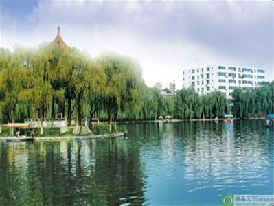 蓮湖天氣預(yù)報10天查詢