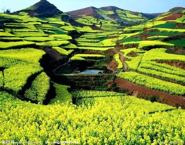 漢陰天氣預(yù)報10天查詢