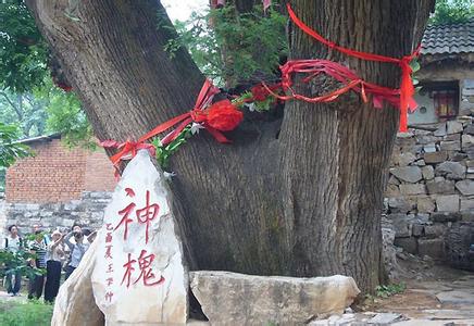 崇信天氣預(yù)報(bào)10天查詢