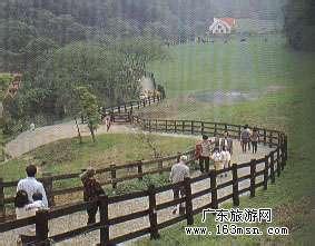 苗栗天氣預(yù)報(bào)10天查詢(xún)