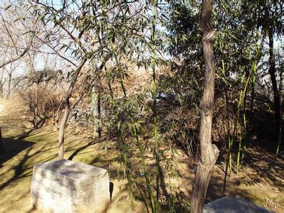 新樂天氣預報30天查詢,新樂市一個月天氣