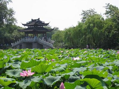 清苑天氣預(yù)報(bào)30天查詢,清苑縣一個(gè)月天氣
