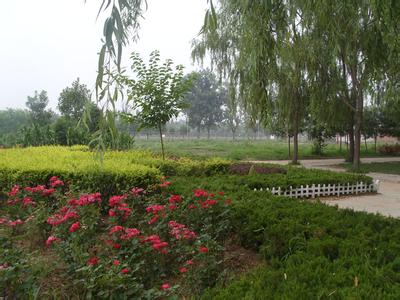 滄縣天氣預(yù)報(bào)30天查詢,滄縣一個(gè)月天氣