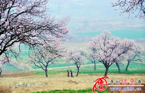 杏花嶺天氣預(yù)報(bào)30天查詢,杏花嶺區(qū)一個(gè)月天氣