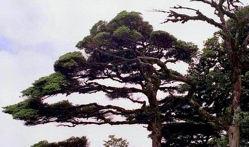 元寶山天氣預報30天查詢,元寶山區一個月天氣