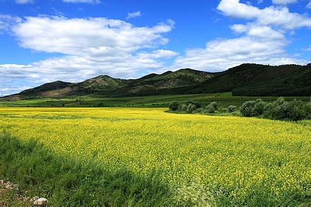 牙克石天氣預(yù)報30天查詢,牙克石市一個月天氣