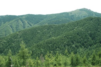 興和天氣預(yù)報30天查詢,興和縣一個月天氣