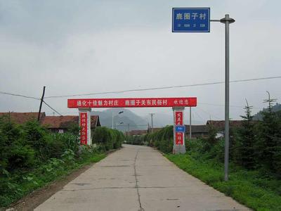通化縣天氣預(yù)報30天查詢,通化縣一個月天氣