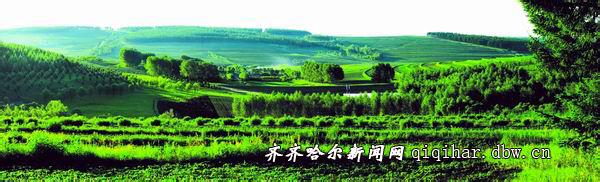 拜泉天氣預(yù)報30天查詢,拜泉縣一個月天氣