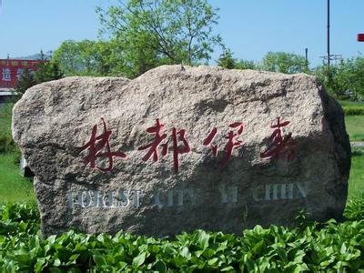 伊春天氣預報30天查詢,伊春市一個月天氣