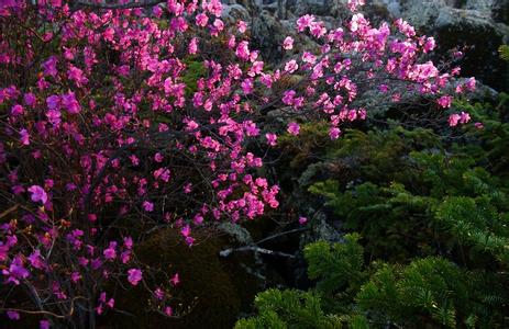 友好天氣預(yù)報30天查詢,友好區(qū)一個月天氣