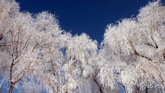 寧安天氣預報30天查詢,寧安市一個月天氣