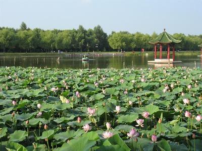綏棱天氣預報30天查詢,綏棱縣一個月天氣
