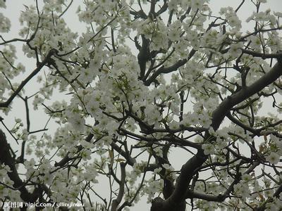 豐縣天氣預報30天查詢,豐縣一個月天氣