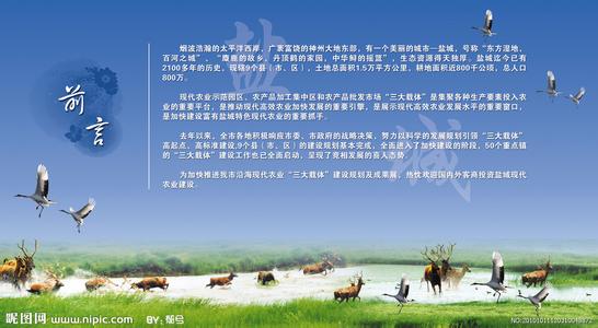 鹽城天氣預(yù)報(bào)30天查詢,鹽城市一個(gè)月天氣