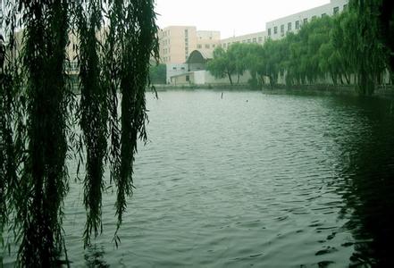 儀征天氣預報30天查詢,儀征市一個月天氣