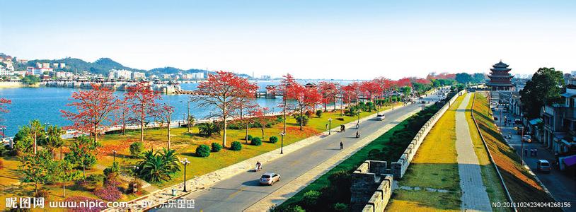濱江天氣預報30天查詢,濱江區一個月天氣