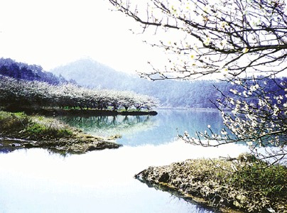 蕭山天氣預報30天查詢,蕭山區(qū)一個月天氣