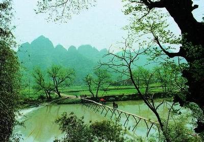 新昌天氣預報30天查詢,新昌縣一個月天氣