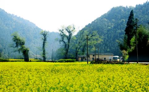 開化天氣預(yù)報(bào)30天查詢,開化縣一個(gè)月天氣