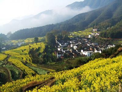 慶元天氣預報30天查詢,慶元縣一個月天氣