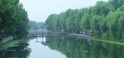 固鎮天氣預報30天查詢,固鎮縣一個月天氣
