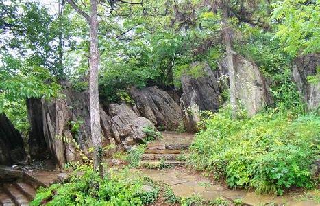 八公山天氣預報30天查詢,八公山區一個月天氣